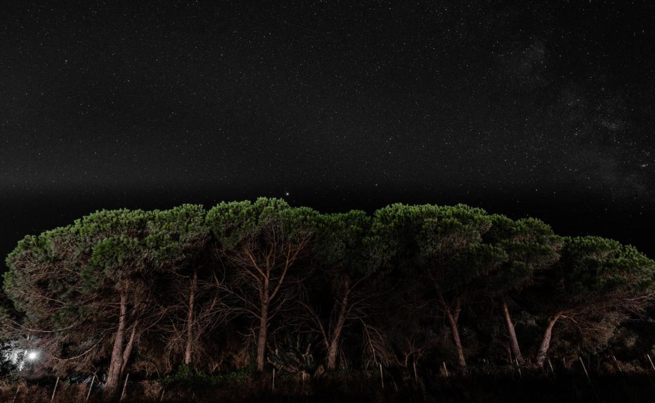 Theluxuryvillas Preveze Dış mekan fotoğraf
