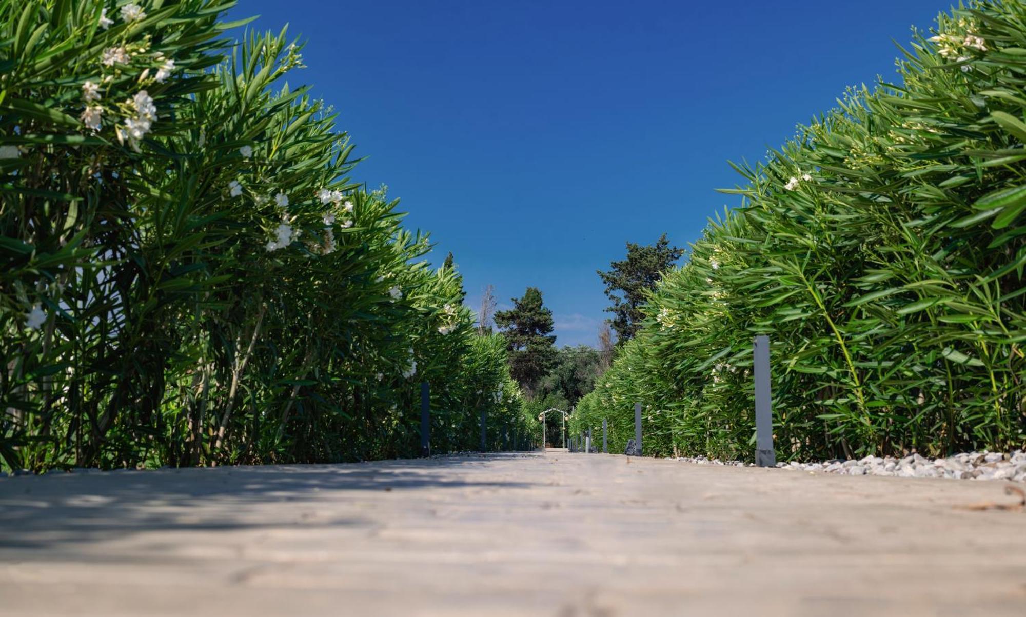 Theluxuryvillas Preveze Dış mekan fotoğraf