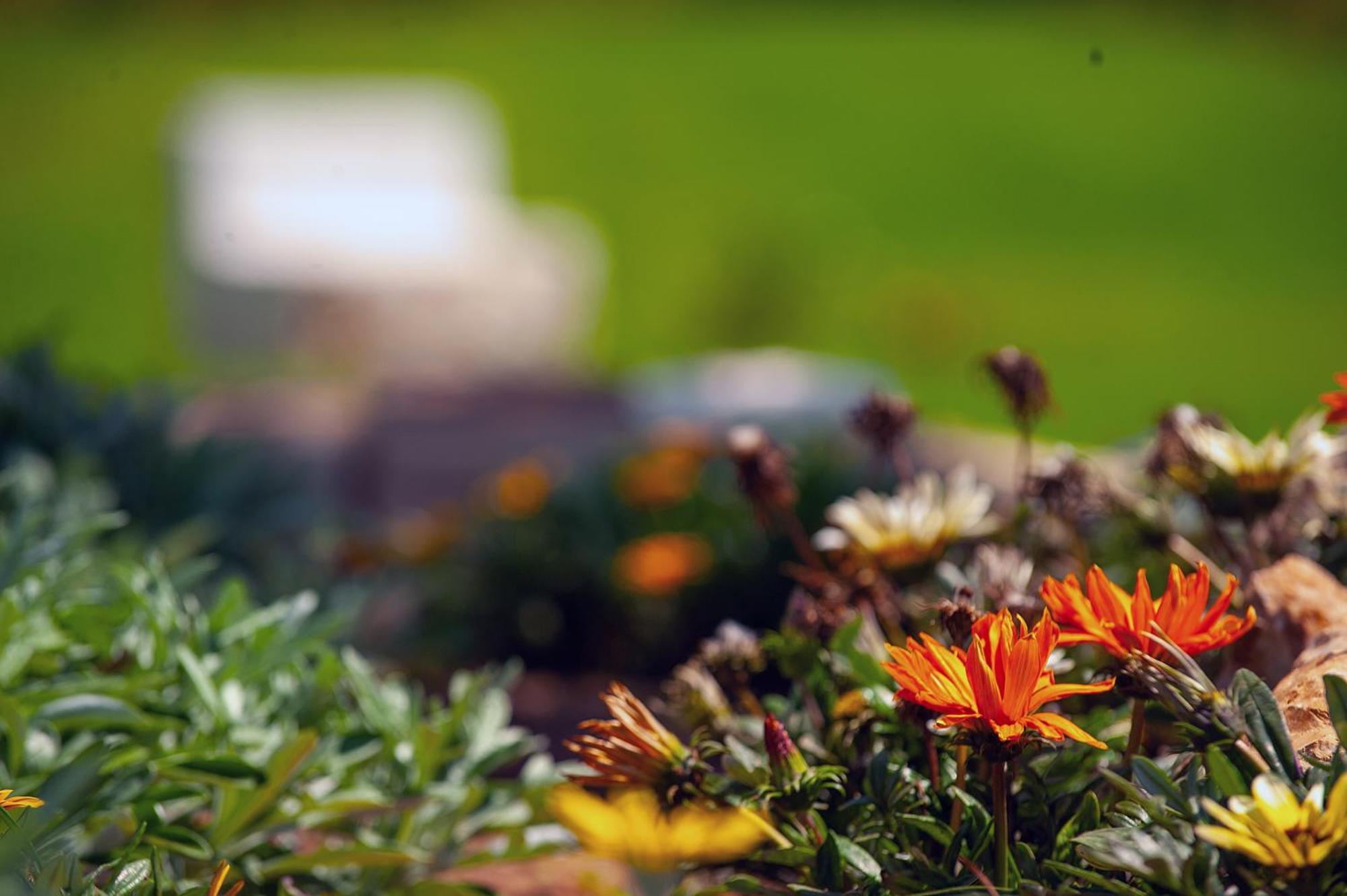 Theluxuryvillas Preveze Dış mekan fotoğraf