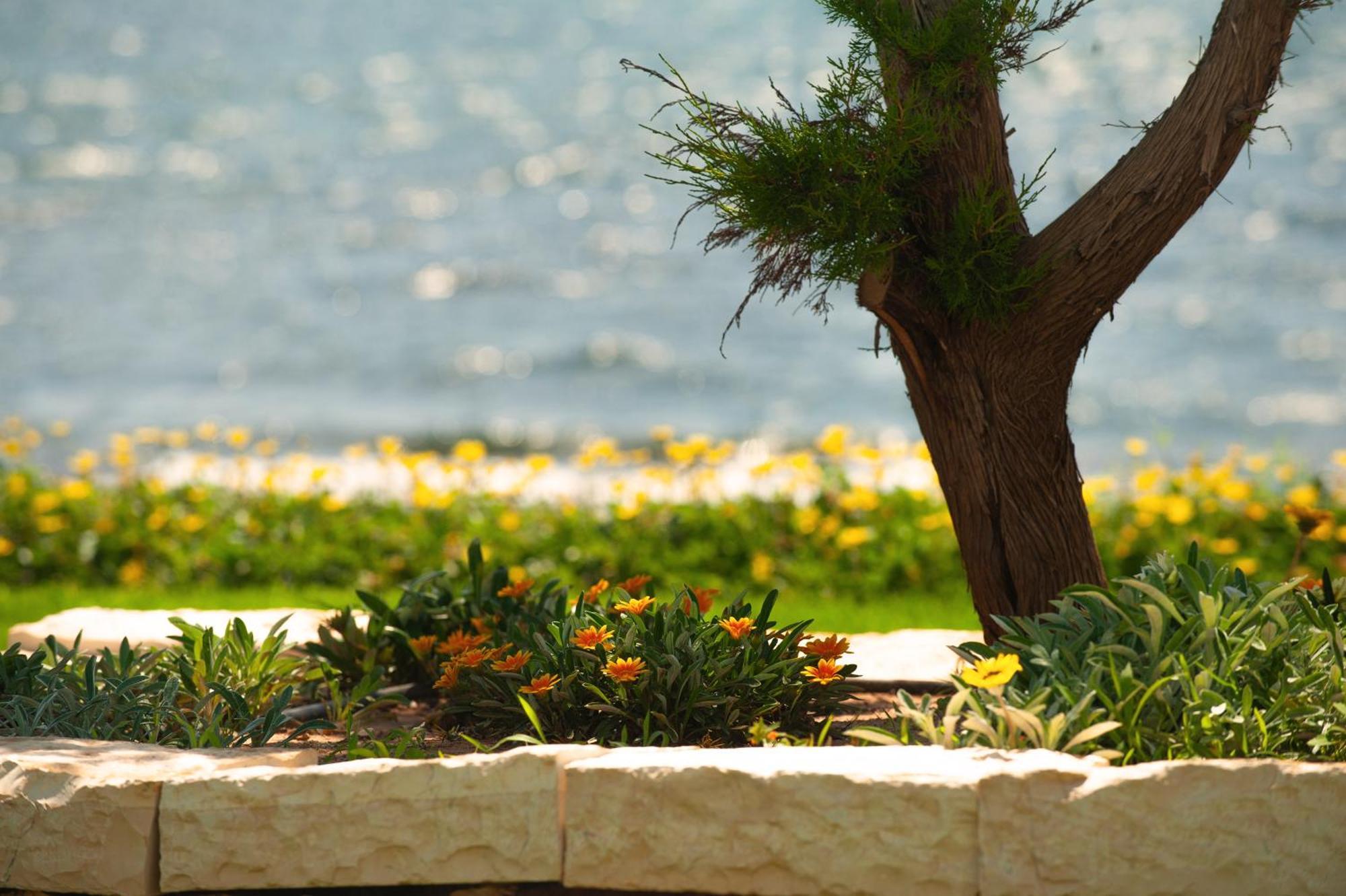 Theluxuryvillas Preveze Dış mekan fotoğraf